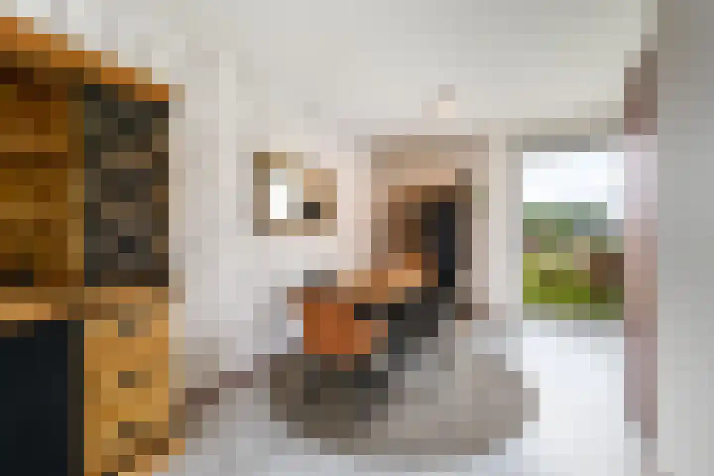 Dwarstak 26 Houtigehage thumbnail 12