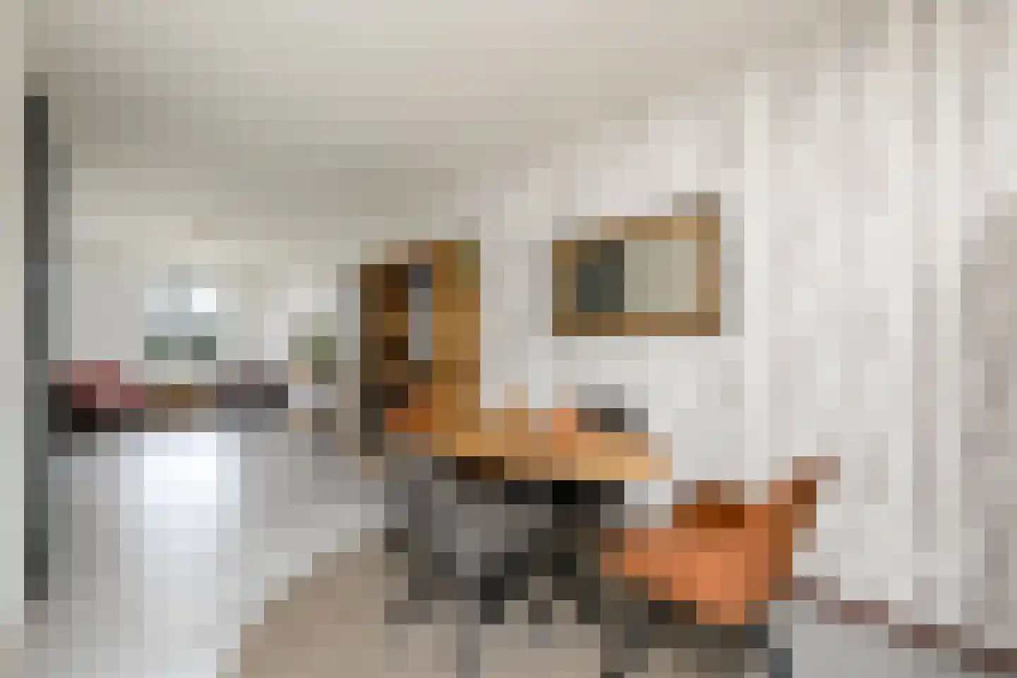 Dwarstak 26 Houtigehage thumbnail 13