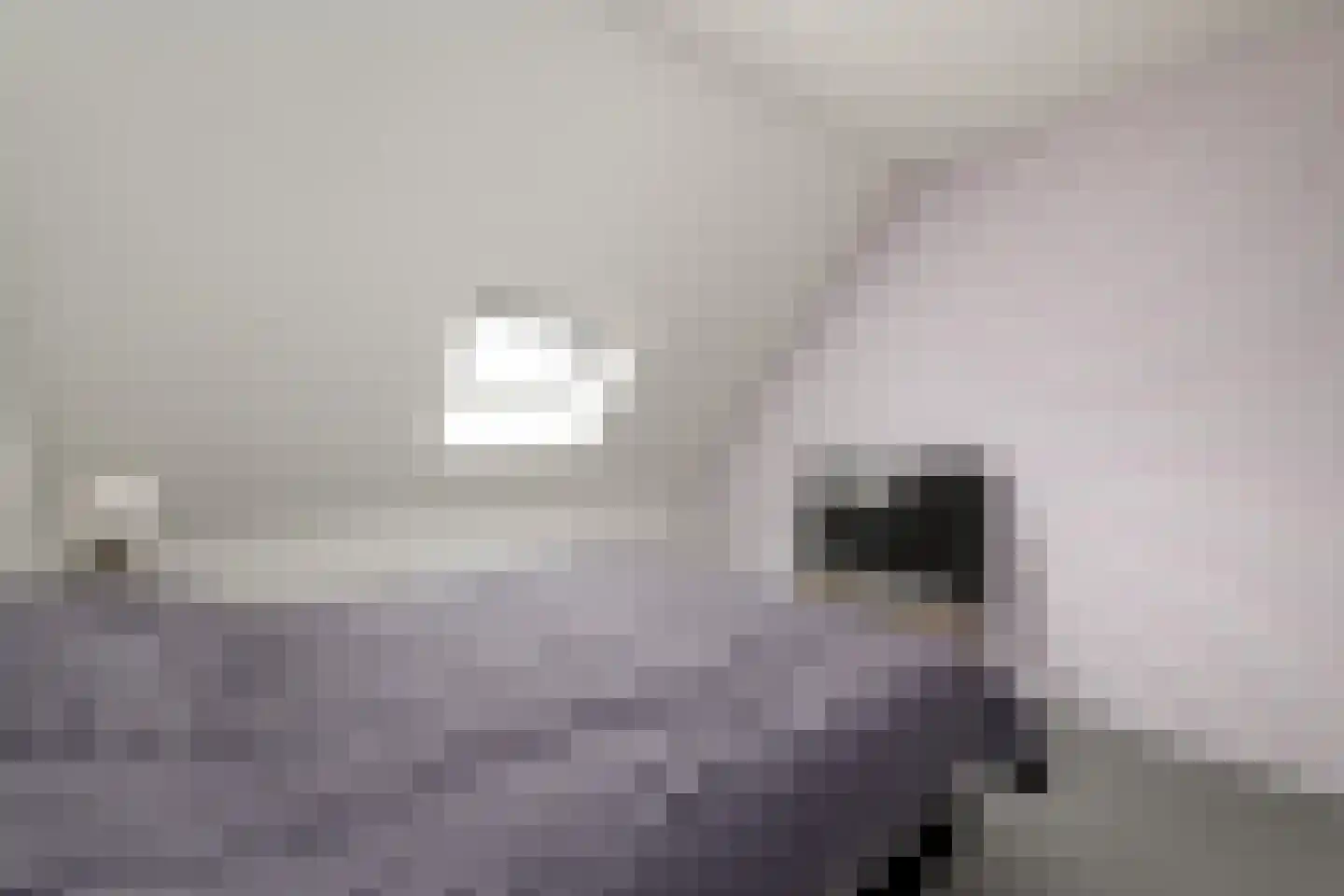 Dwarstak 26 Houtigehage thumbnail 21