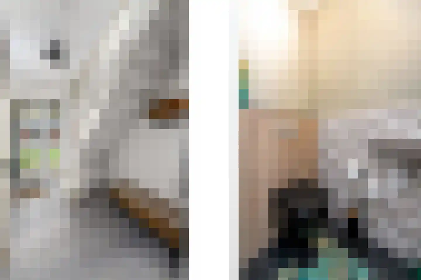 Dwarstak 26 Houtigehage thumbnail 5