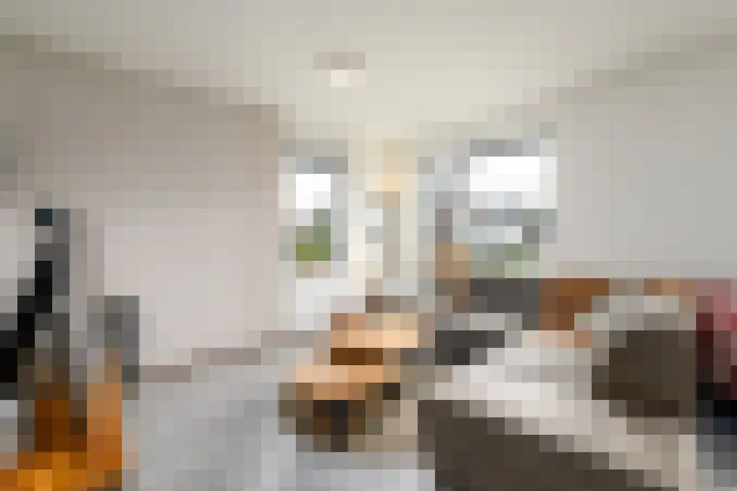 Dwarstak 26 Houtigehage thumbnail 6