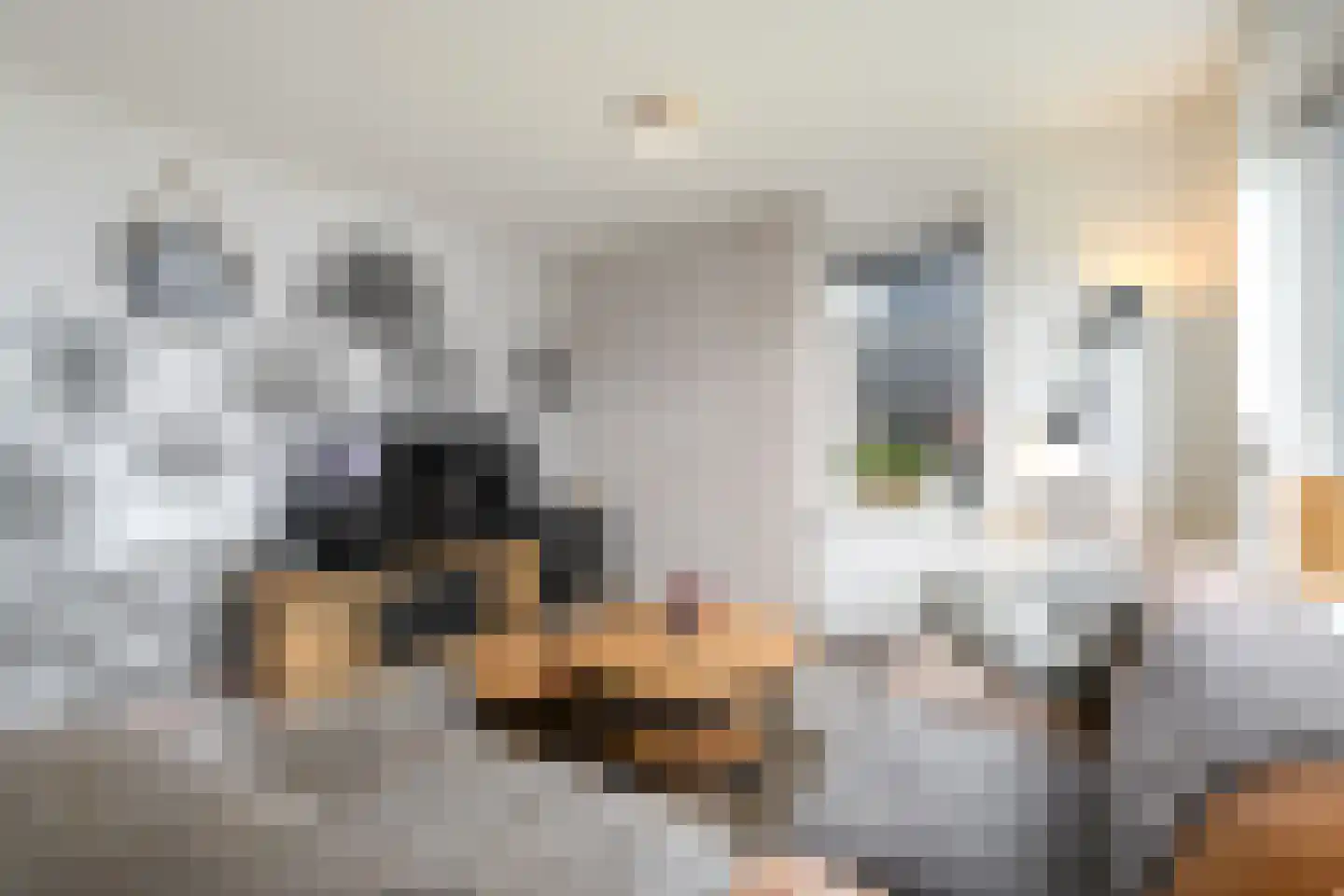 Dwarstak 26 Houtigehage thumbnail 7