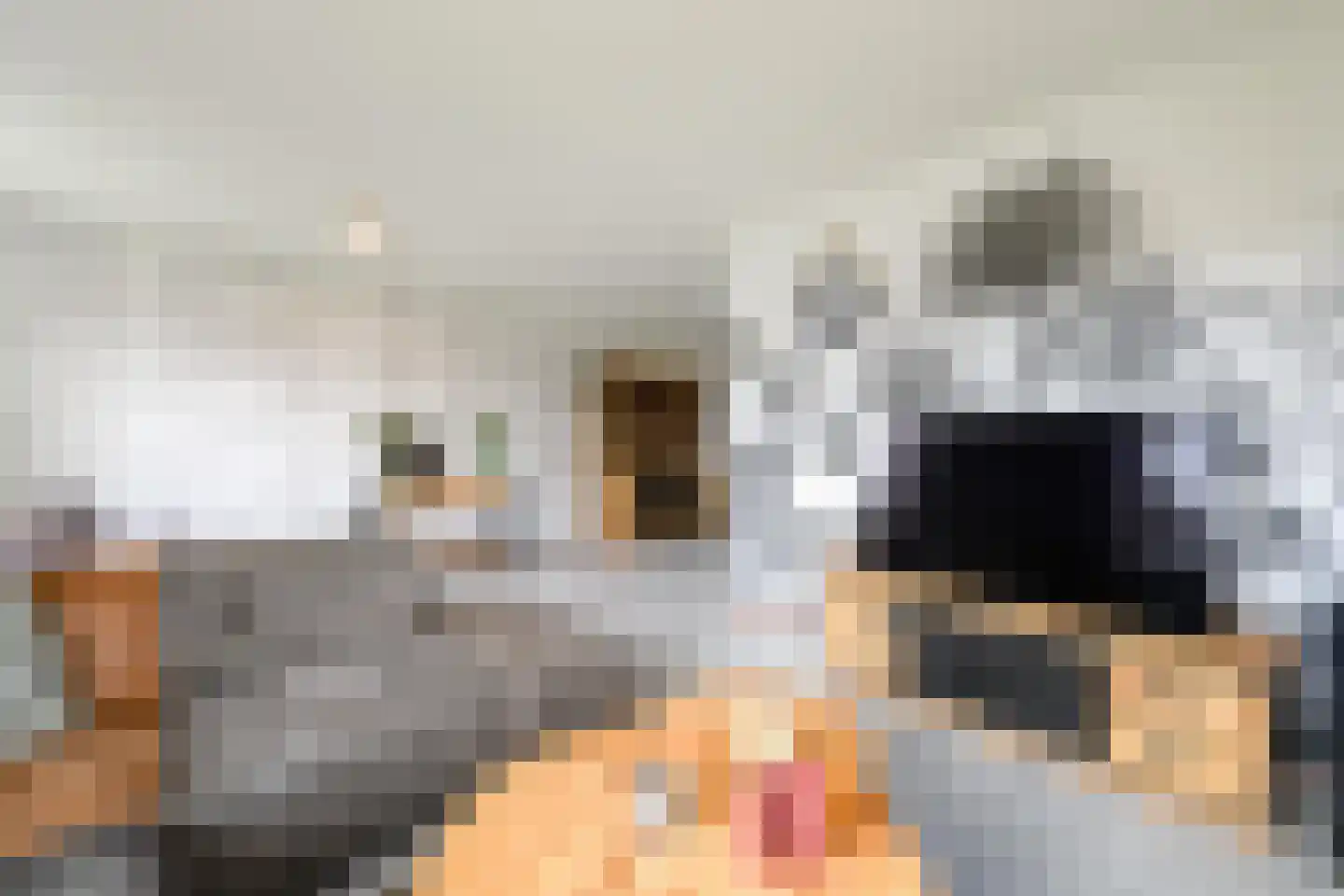 Dwarstak 26 Houtigehage thumbnail 9