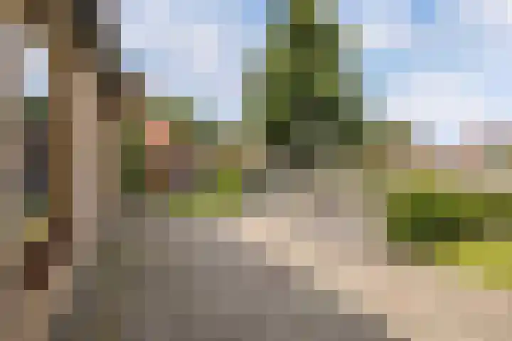 Dwarsvaartweg 1 B Noordwolde thumbnail 31
