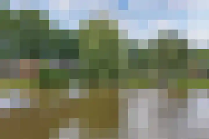 Dwarsvaartweg 1 B Noordwolde thumbnail 35