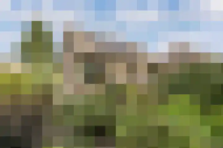 Dwarsvaartweg 1 B Noordwolde thumbnail 37