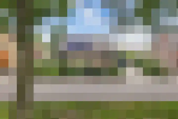 Dwarsvaartweg 1 B Noordwolde thumbnail 39