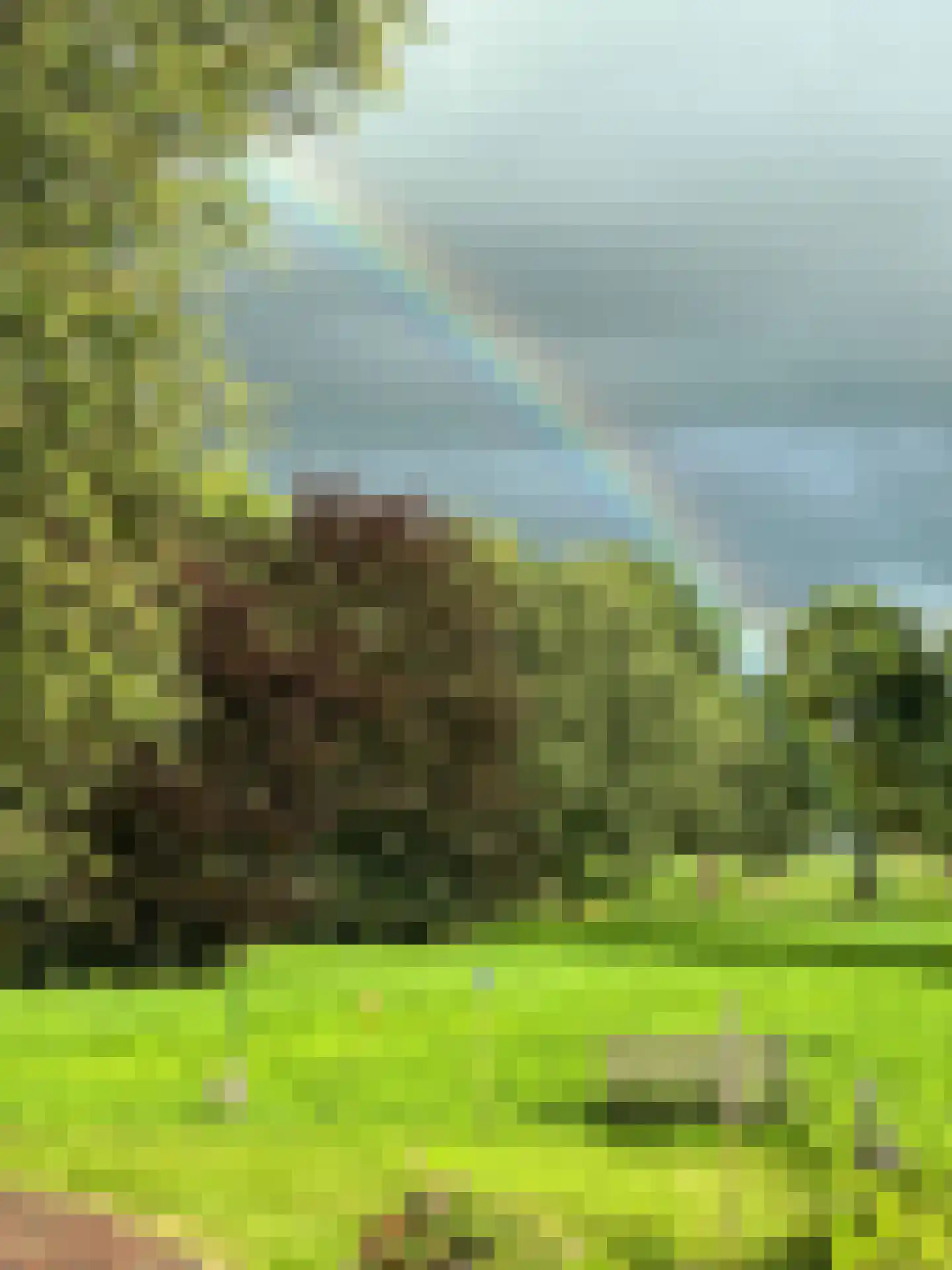 Dwarsvaartweg 30 Oosterstreek thumbnail 44