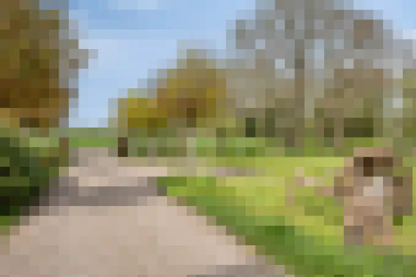 Dwarsvaartweg 30 Oosterstreek thumbnail 48