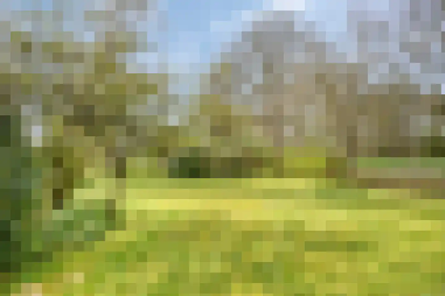 Dwarsvaartweg 30 Oosterstreek thumbnail 49