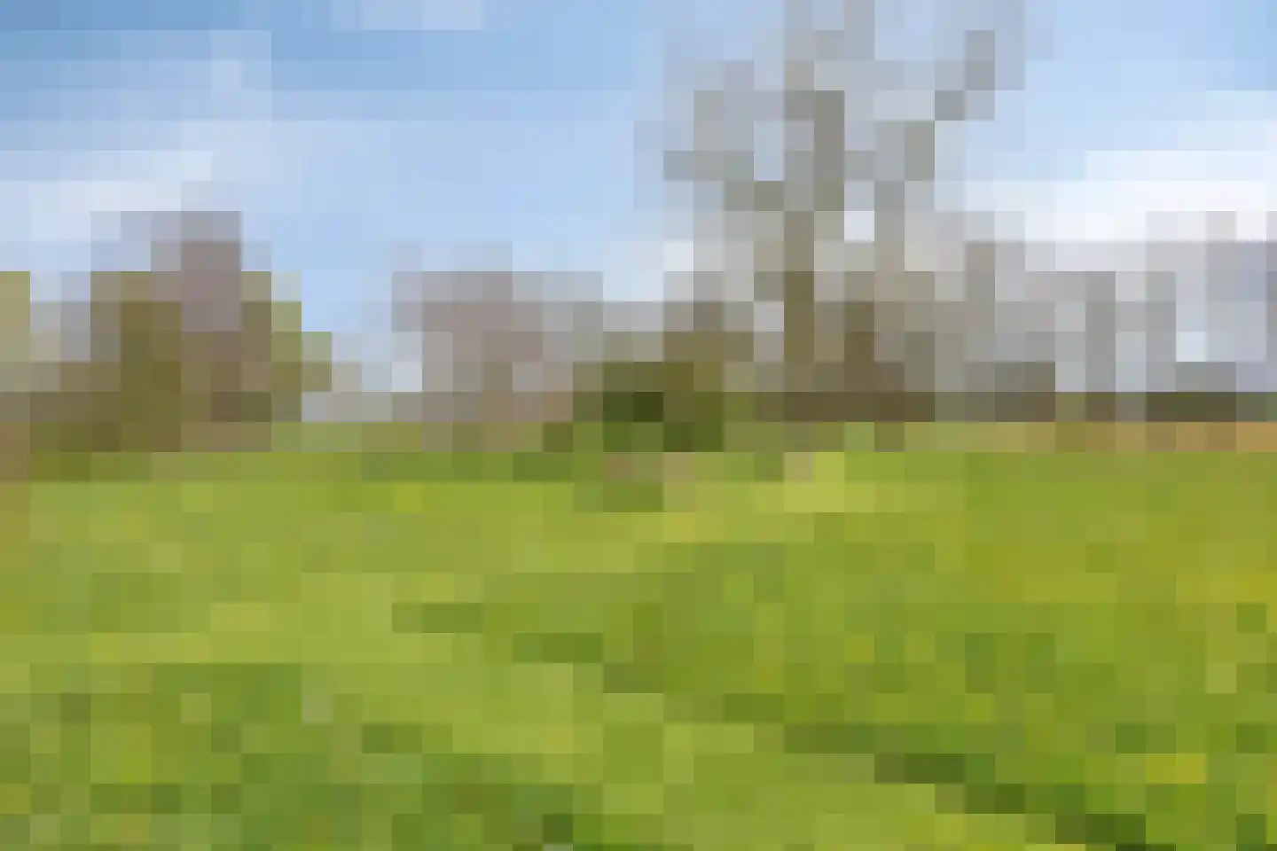 Dwarsvaartweg 30 Oosterstreek thumbnail 55