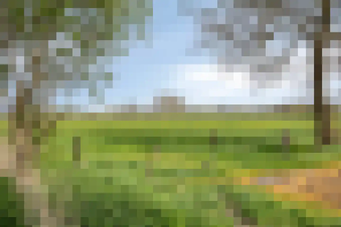 Dwarsvaartweg 30 Oosterstreek thumbnail 65
