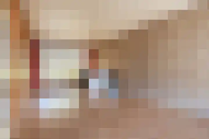 Dwarsvliet 8 Zevenbergen thumbnail 13