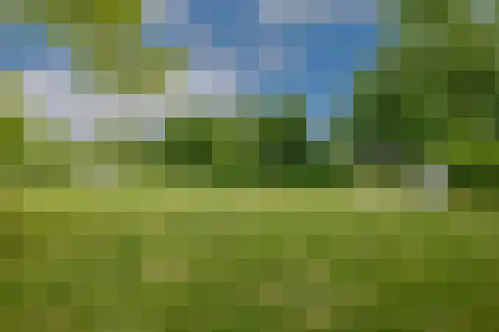 Dwarsvliet 8 Zevenbergen thumbnail 32