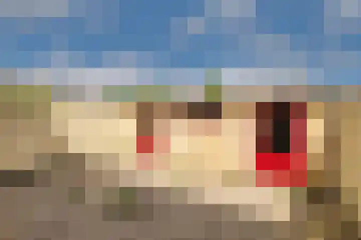 Dwarsvliet 8 Zevenbergen thumbnail 4
