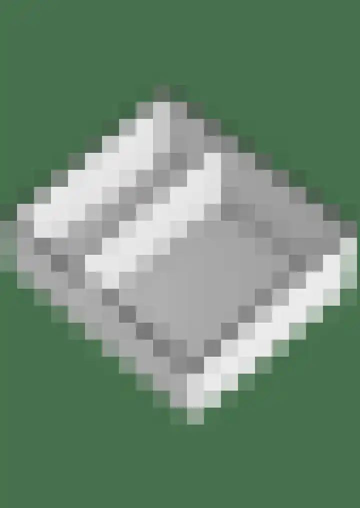 Dwarsvliet 8 Zevenbergen thumbnail 40