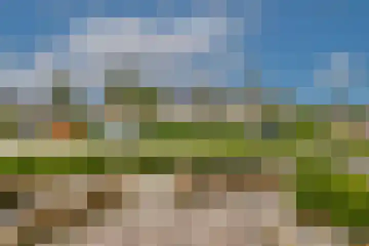 Dwarsvliet 8 Zevenbergen thumbnail 8