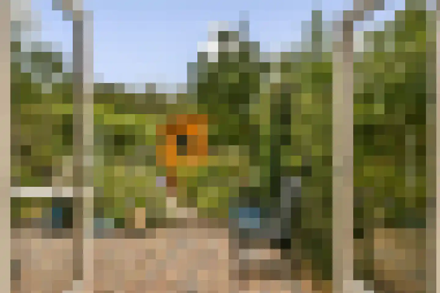 Dwarswatering 10 Amsterdam thumbnail 26