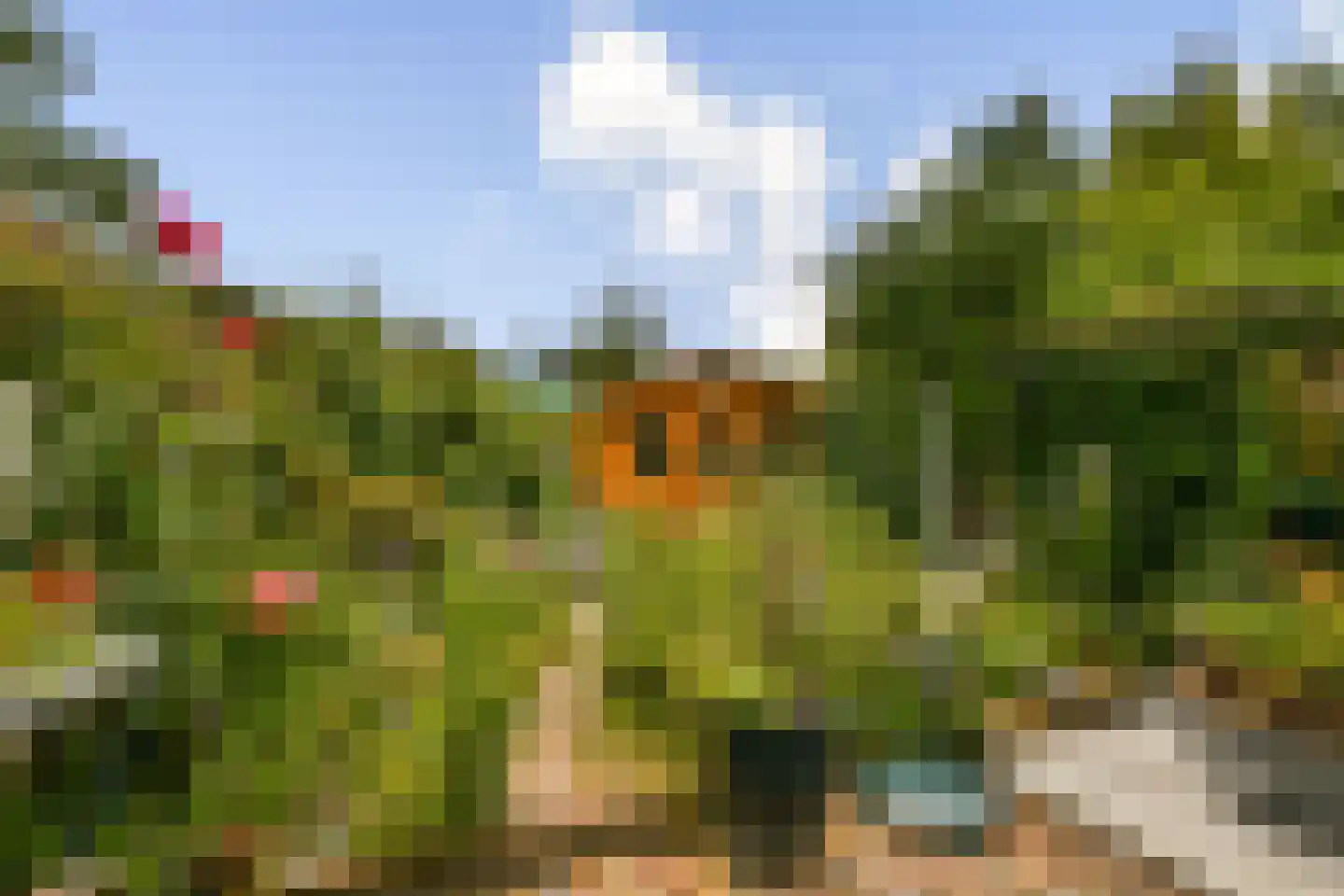 Dwarswatering 10 Amsterdam thumbnail 27