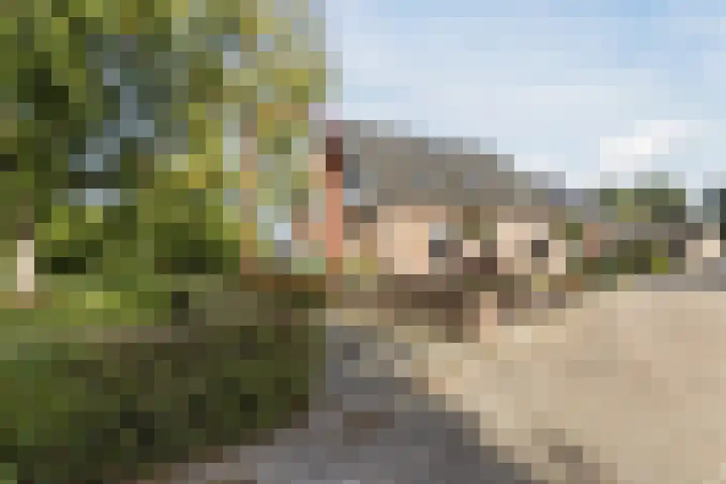 Dwarsweg 11 A Dongen
