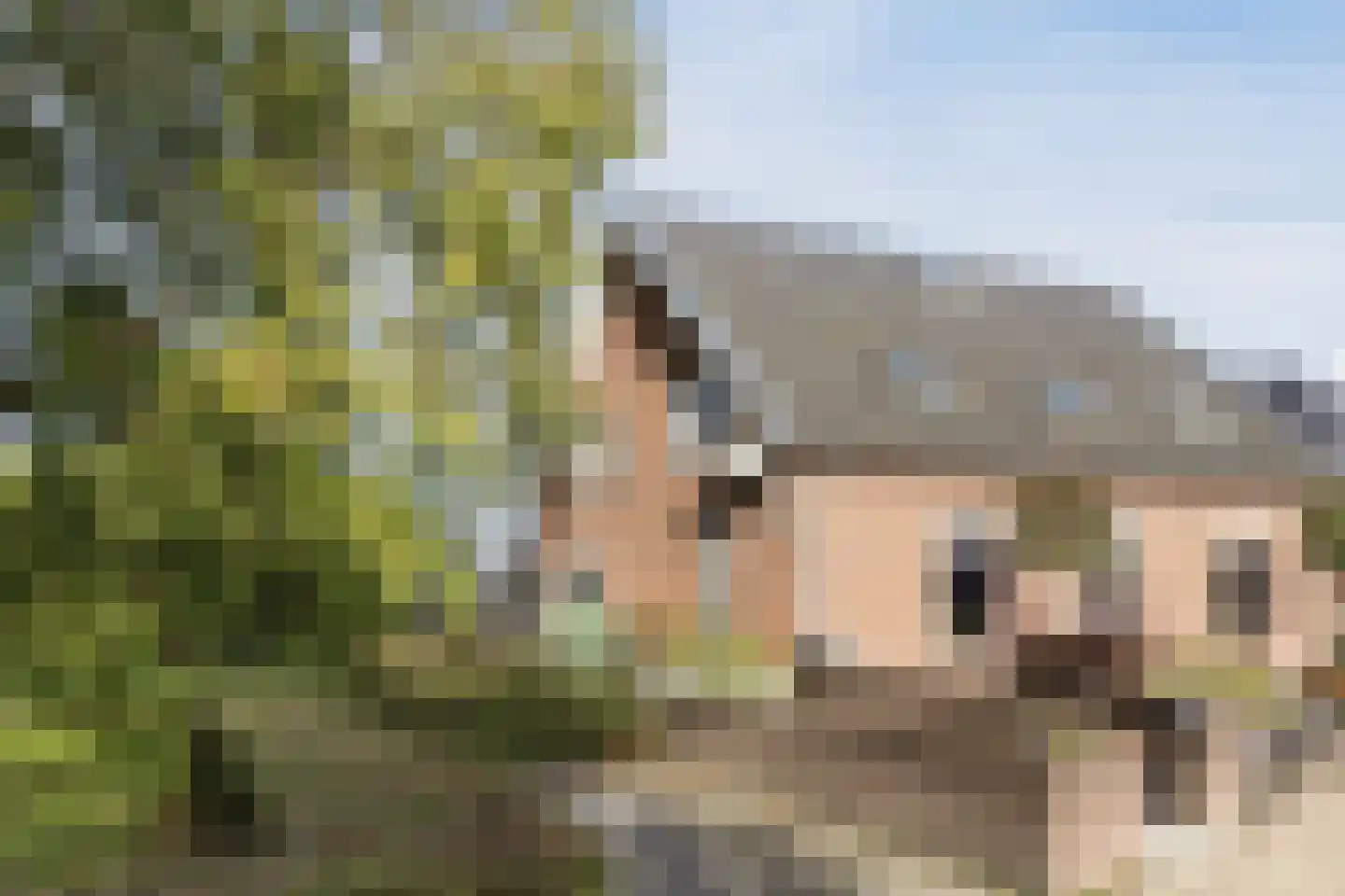 Dwarsweg 11 A Dongen thumbnail 10