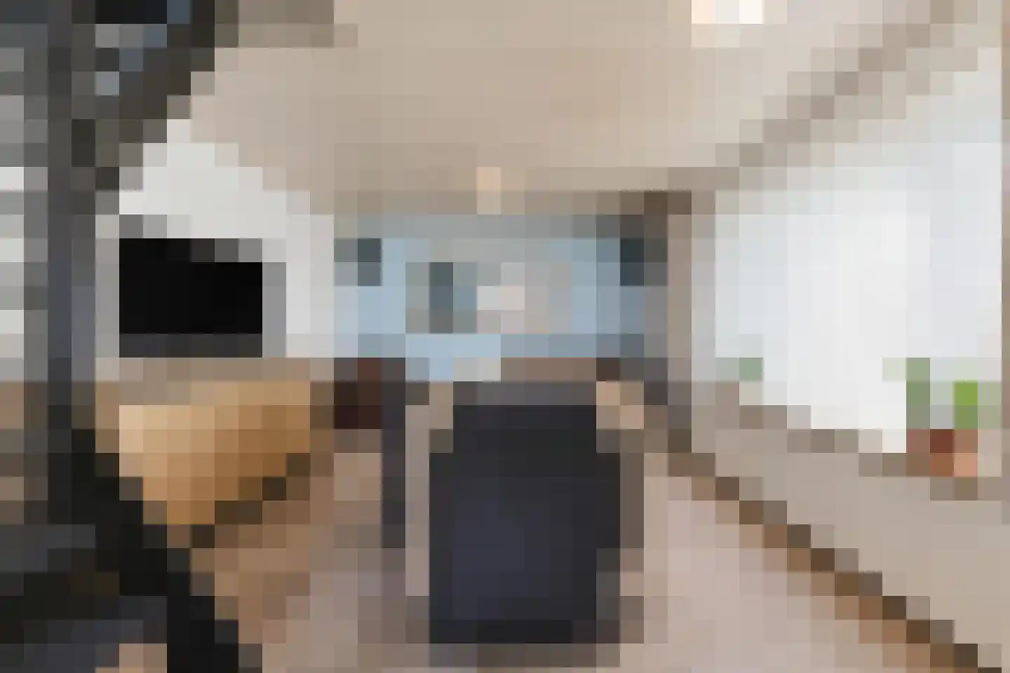 Dwarsweg 11 A Dongen thumbnail 11