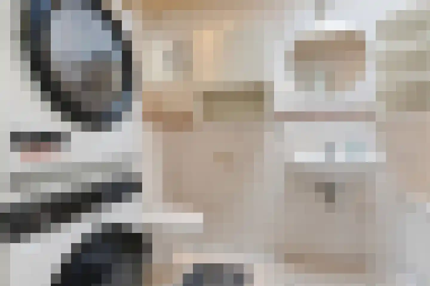 Dwarsweg 11 A Dongen thumbnail 17