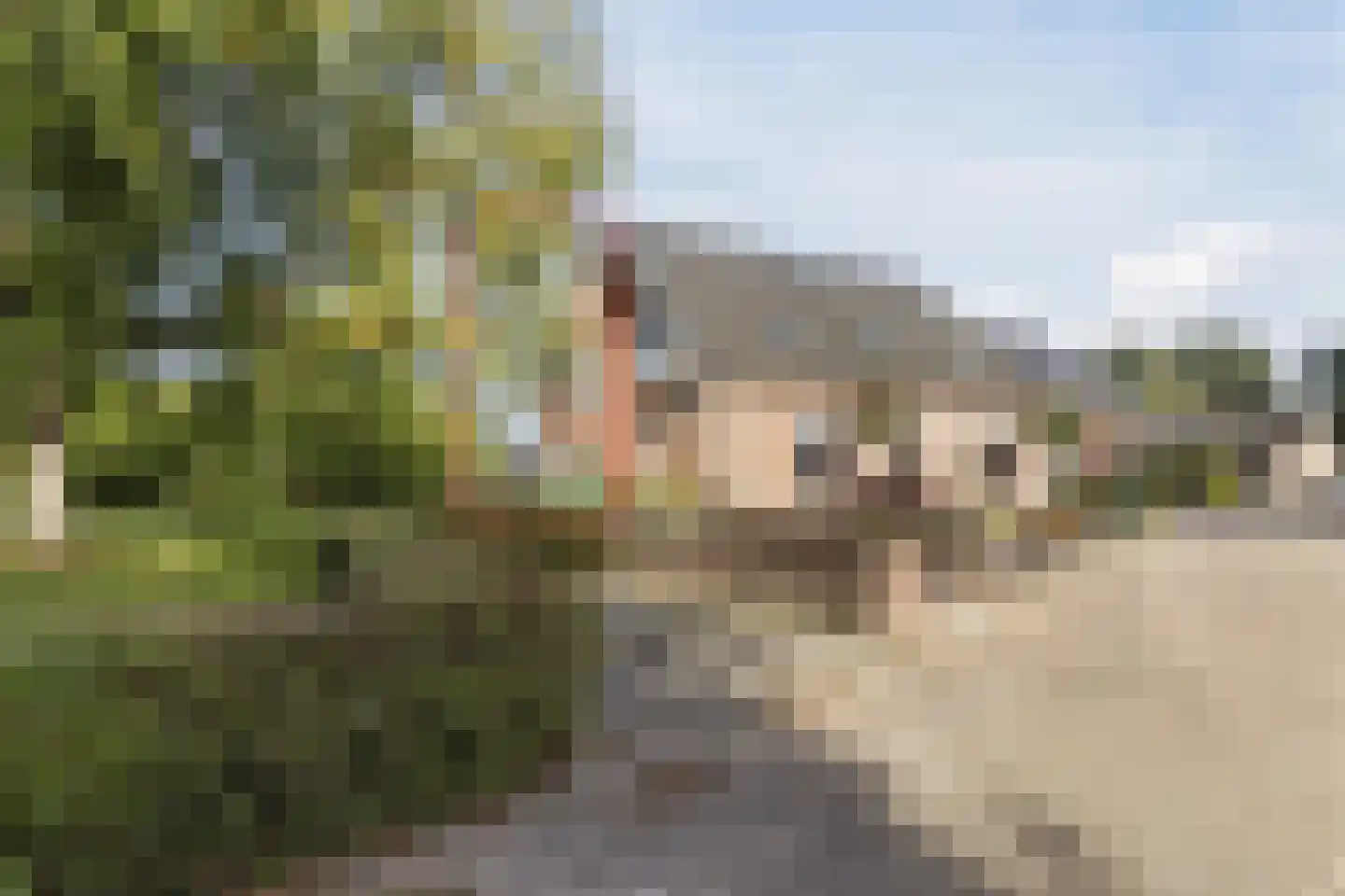Dwarsweg 11 A Dongen foto 2