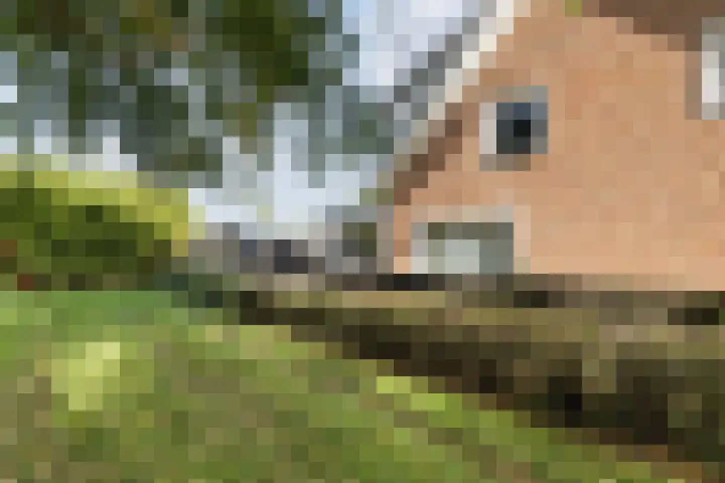 Dwarsweg 11 A Dongen thumbnail 26
