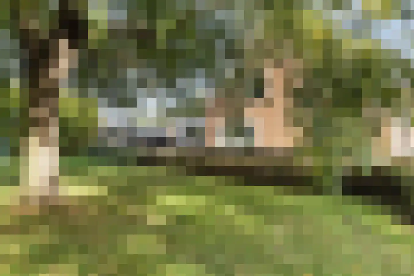 Dwarsweg 11 A Dongen thumbnail 27