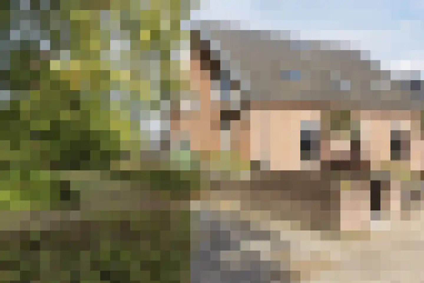 Dwarsweg 11 A Dongen thumbnail 9