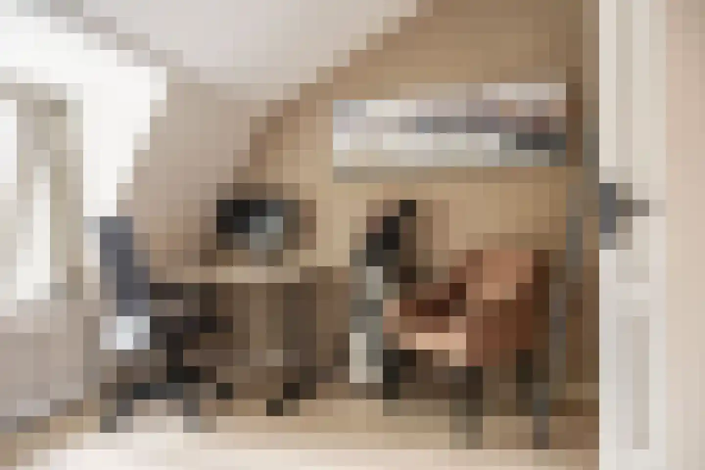 Dwarsweg 12 Zeist thumbnail 23