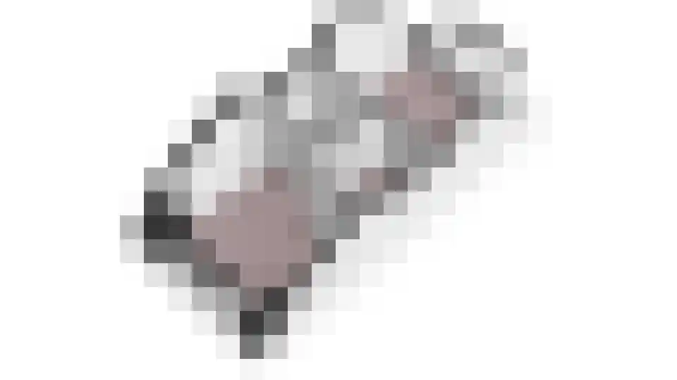 Dwarsweg 12 Zeist thumbnail 35