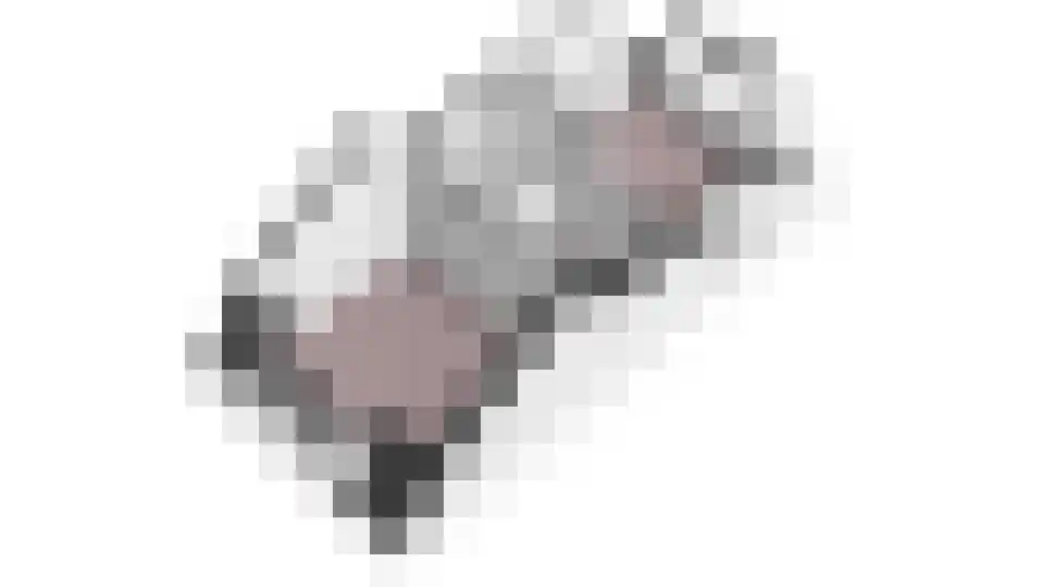 Dwarsweg 12 Zeist thumbnail 36