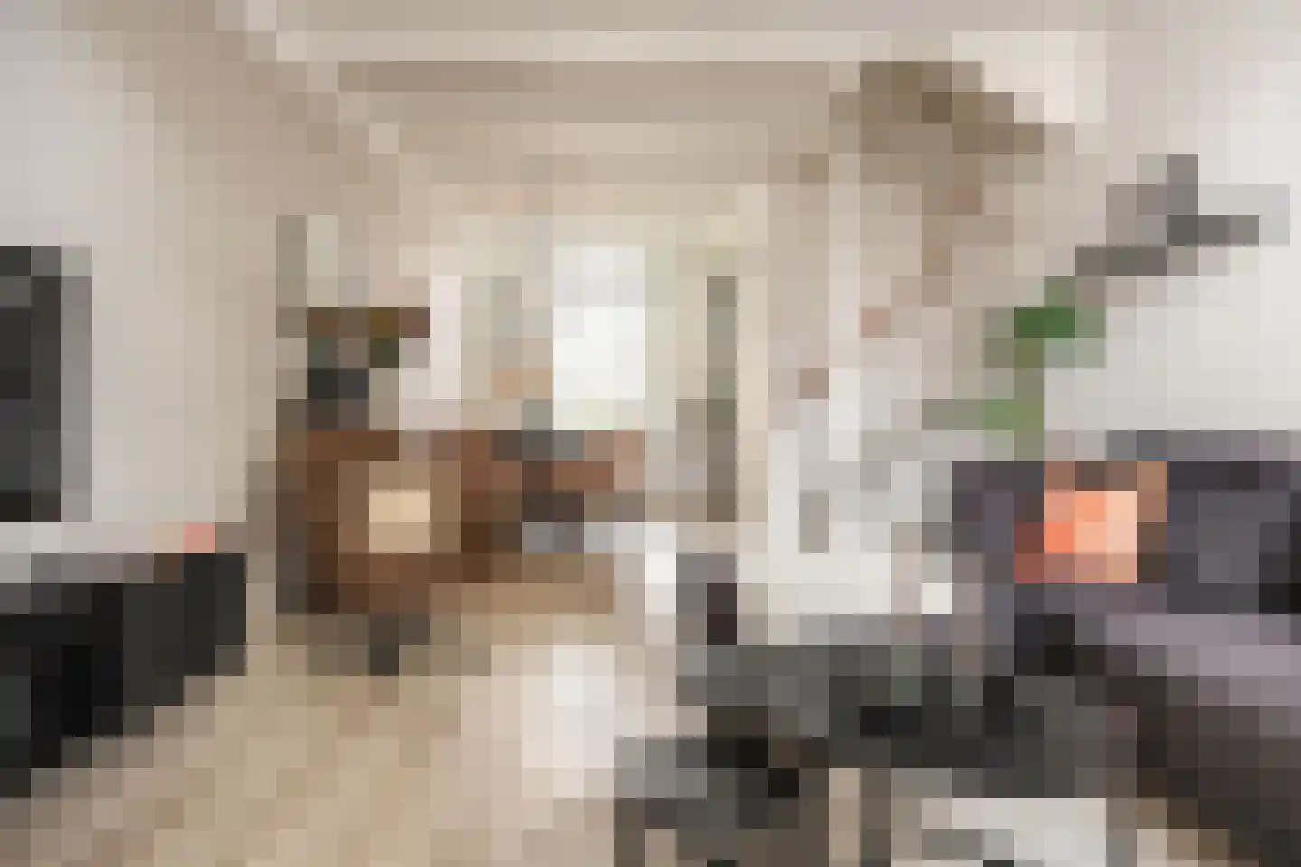 Dwarsweg 12 Zeist thumbnail 7