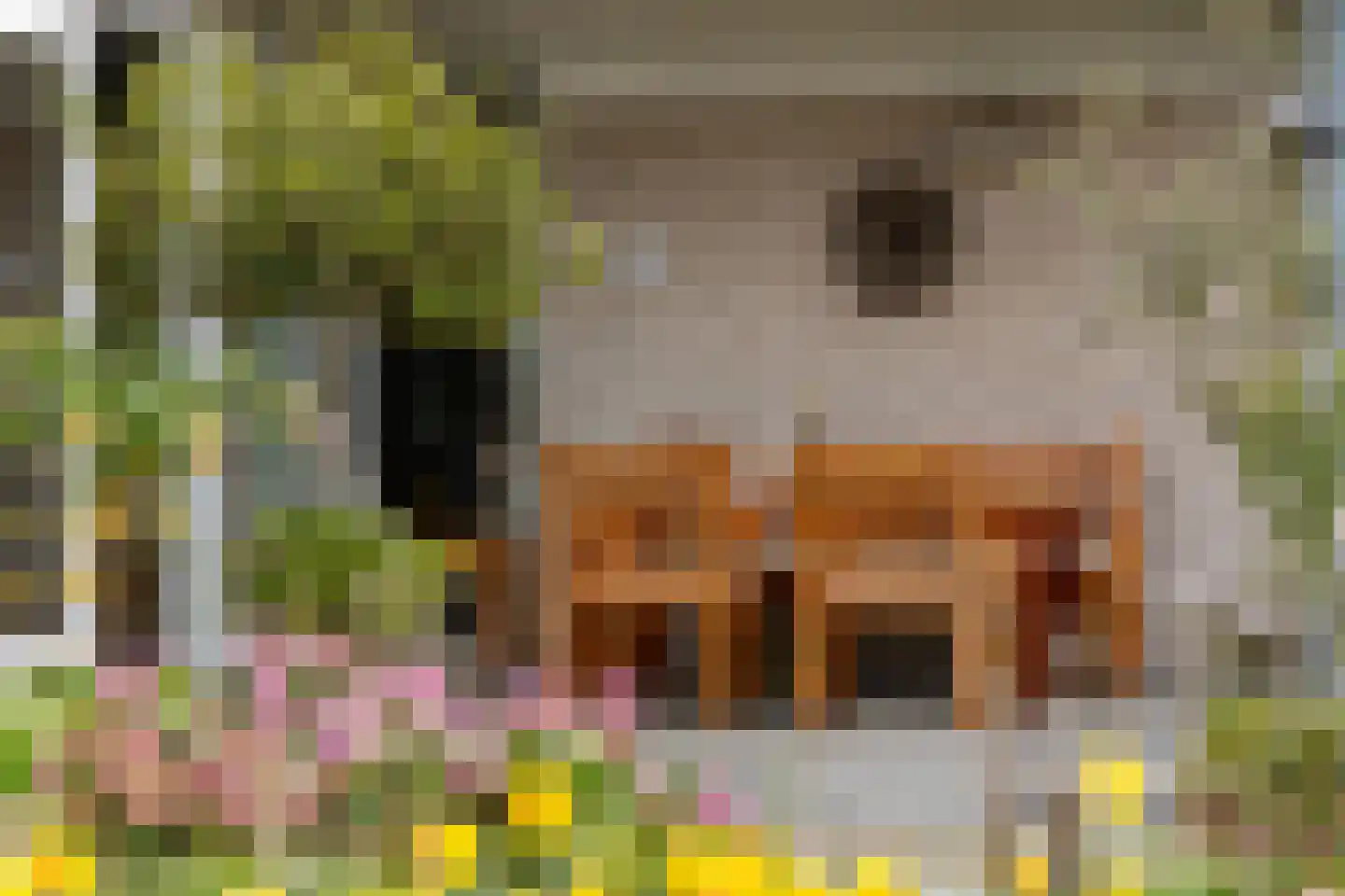 Dwarsweg 14 Rockanje thumbnail 34