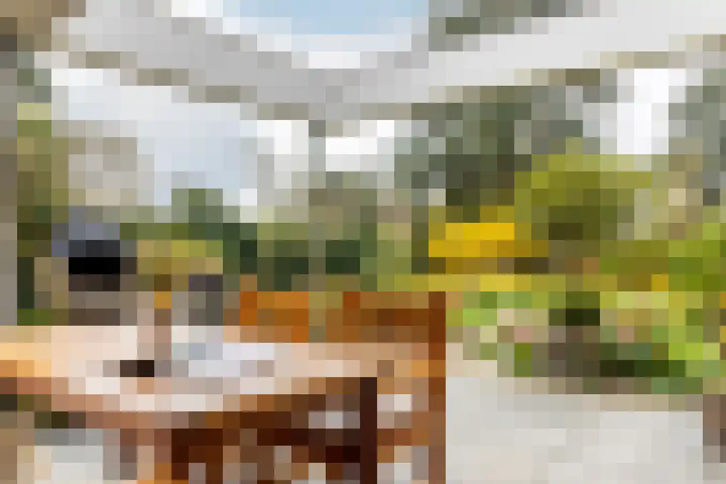 Dwarsweg 14 Rockanje thumbnail 36