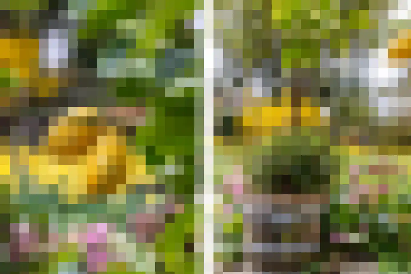 Dwarsweg 14 Rockanje thumbnail 37
