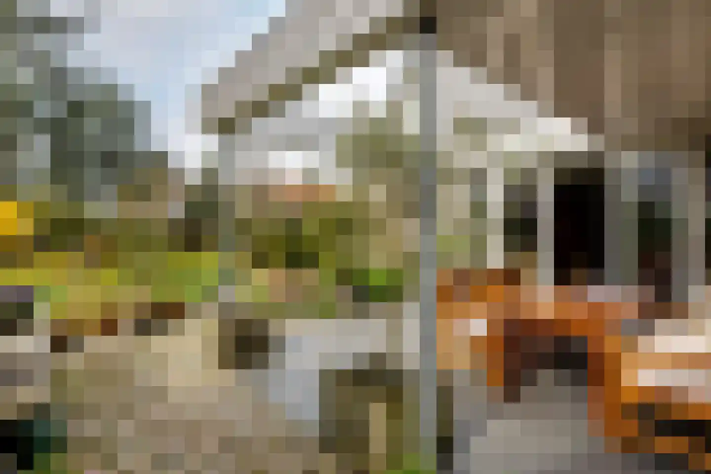 Dwarsweg 14 Rockanje thumbnail 38