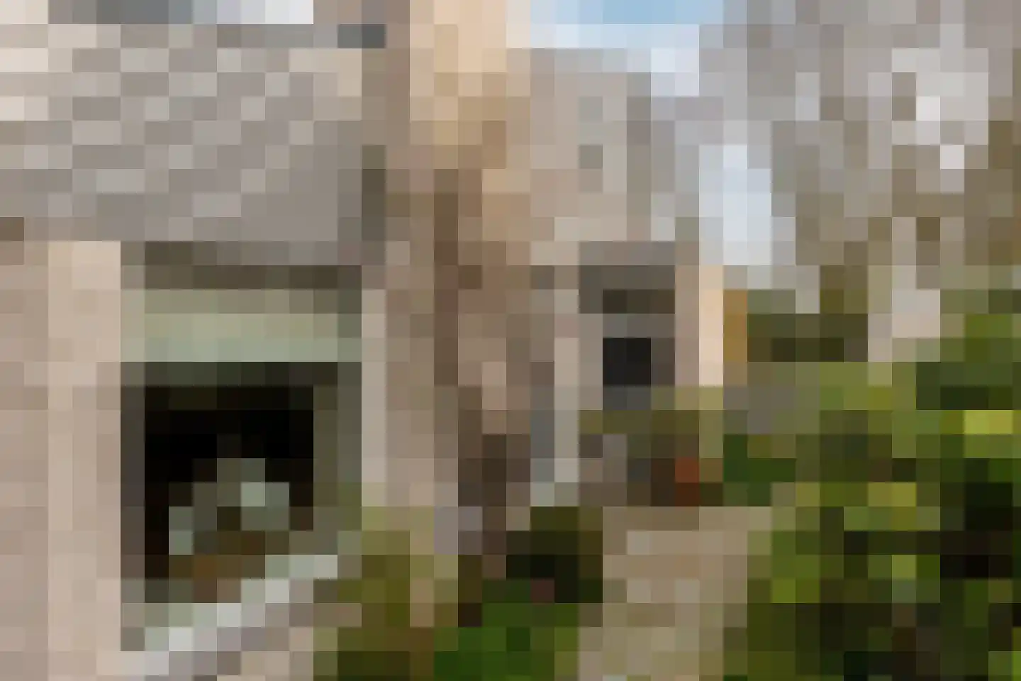 Dwarsweg 14 Rockanje thumbnail 39