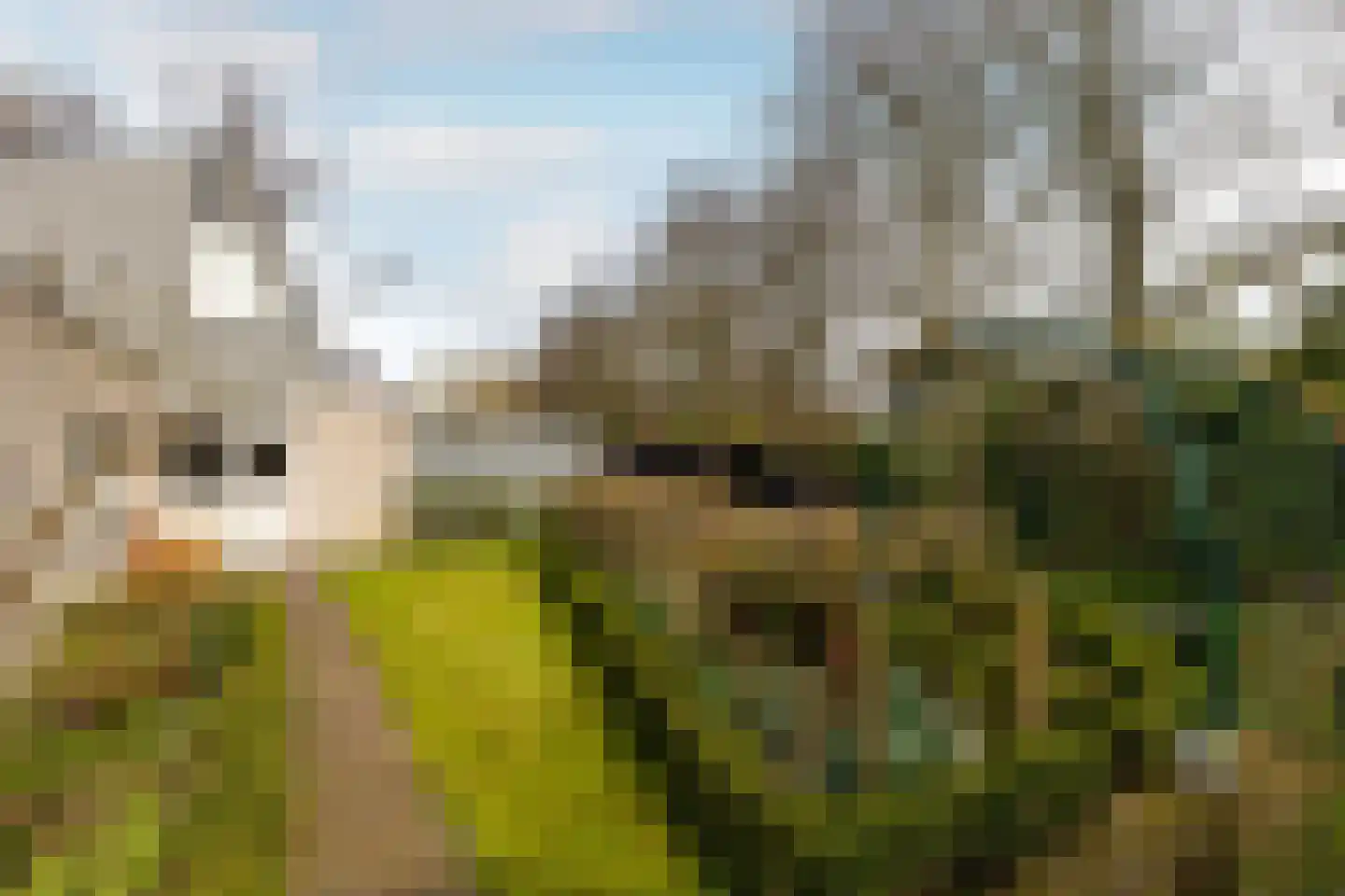 Dwarsweg 14 Rockanje thumbnail 41