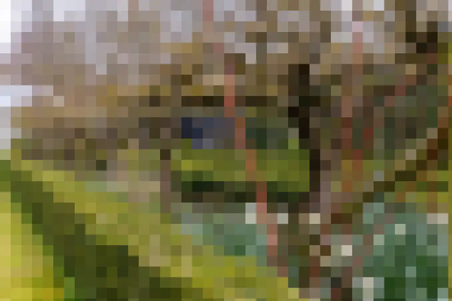 Dwarsweg 14 Rockanje thumbnail 43