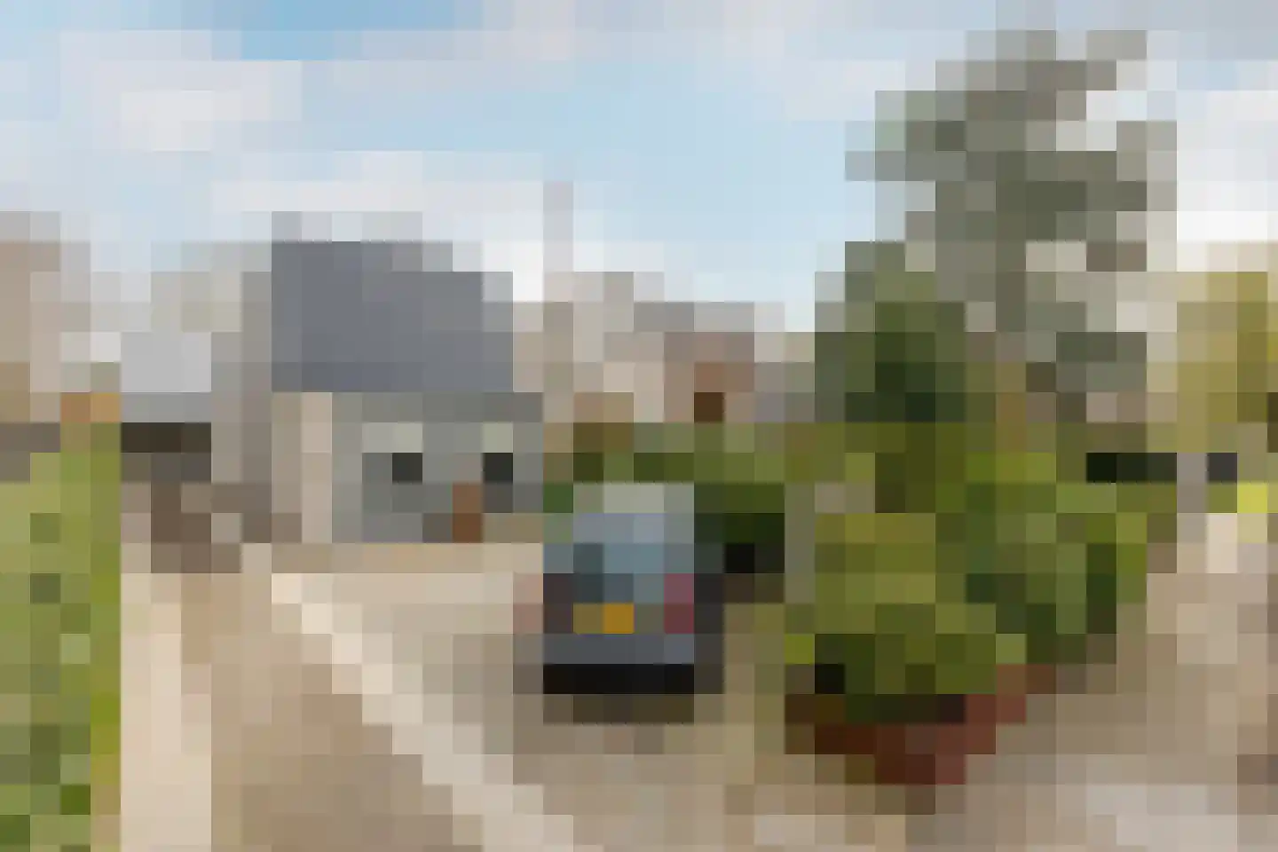 Dwarsweg 14 Rockanje thumbnail 46