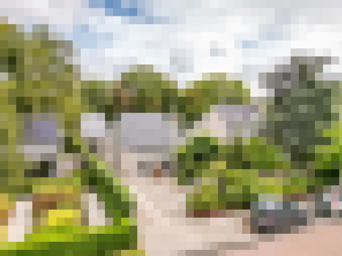 Dwarsweg 14 Rockanje thumbnail 47