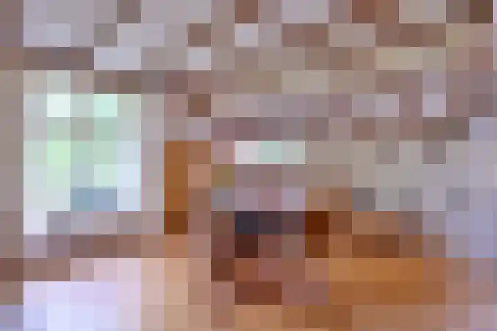 Dwarsweg 15 Brummen thumbnail 11