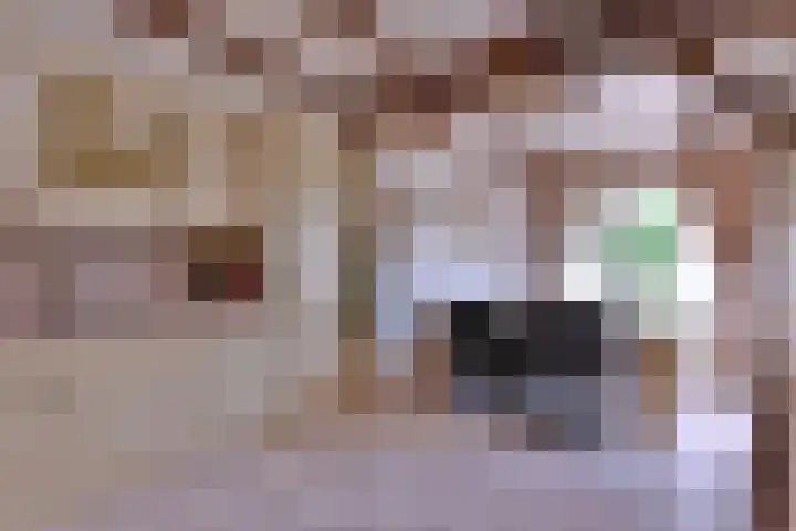 Dwarsweg 15 Brummen thumbnail 13