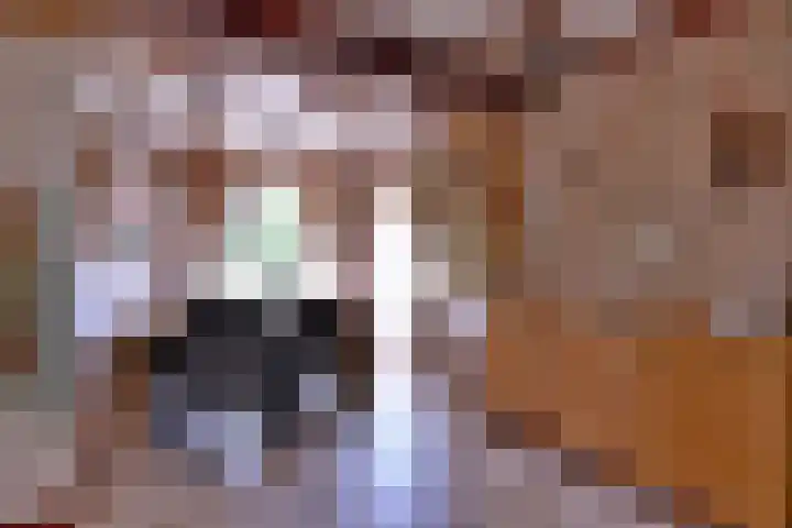Dwarsweg 15 Brummen thumbnail 14