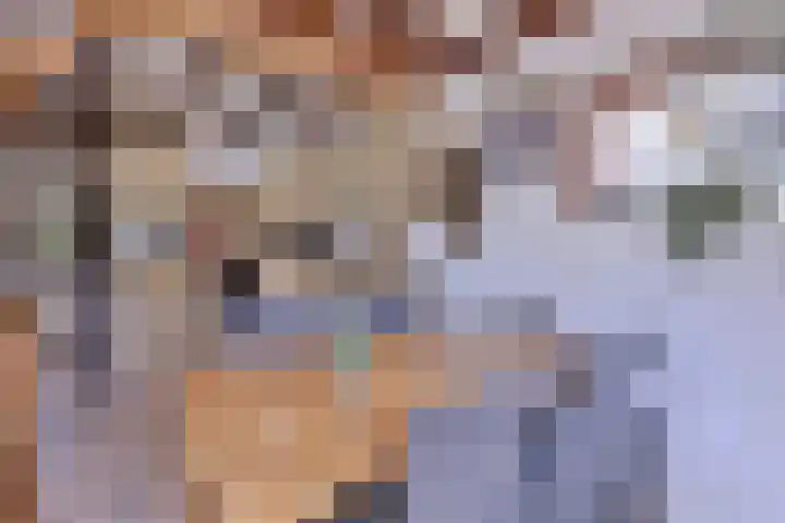 Dwarsweg 15 Brummen thumbnail 15