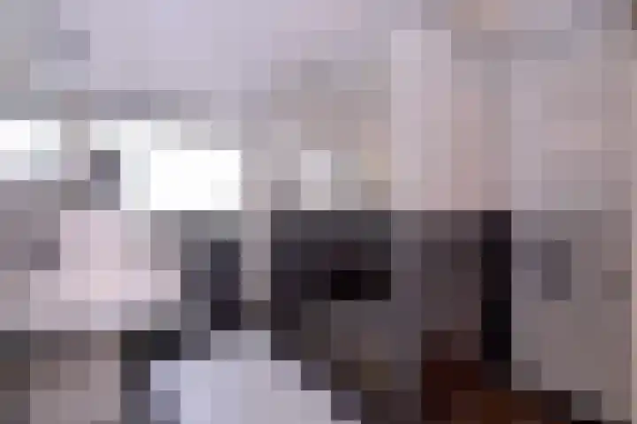 Dwarsweg 15 Brummen thumbnail 21