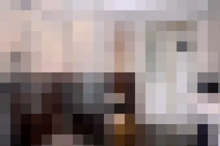 Dwarsweg 15 Brummen thumbnail 22
